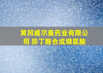 黄冈威尔曼药业有限公司 异丁醛合成缬氨酸